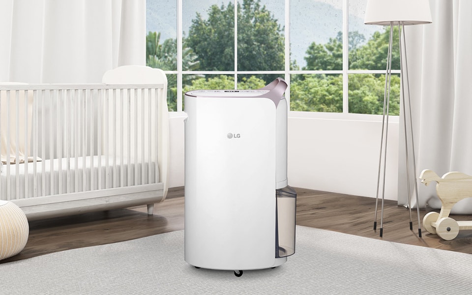 Best dehumidifier